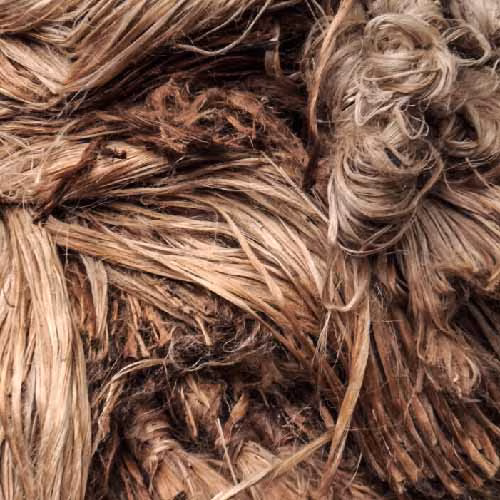 Placeholder for bottom image